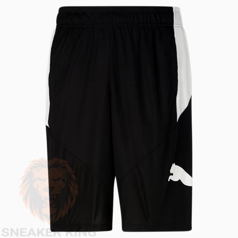 Спортивні шорти PUMA Cat Training Shorts 586278 04